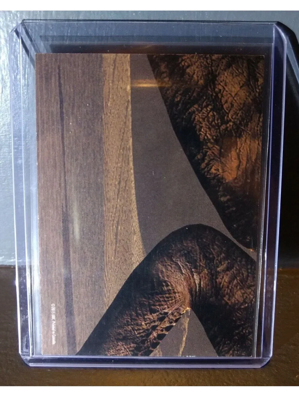 2015 Upper Deck Dinosaurs Megalosaurus #S-21 Trading Sticker Card